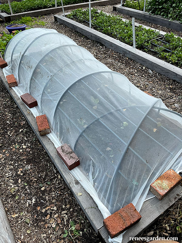 ProtekNet Insect Barrier Netting