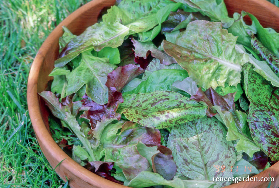 Heirloom Cutting Mix