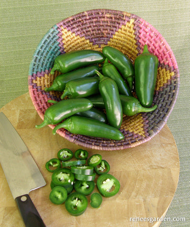 Early Flame Jalapeños