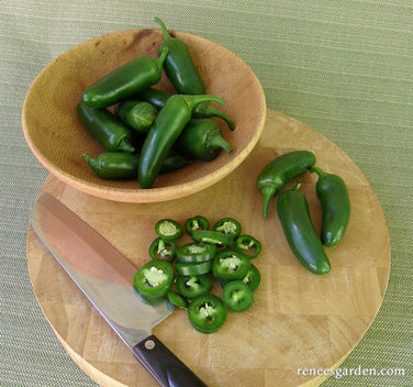 Early Flame Jalapeños