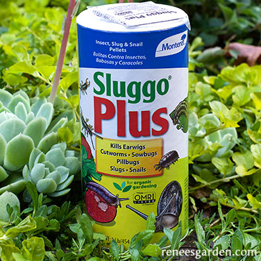 Sluggo Plus