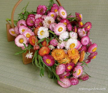 Rainbow Bouquet