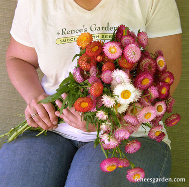 Rainbow Bouquet