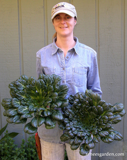 Rosette Tatsoi