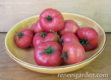 Tomato Seeds - Slicing - Brandywine Pink (Organic)