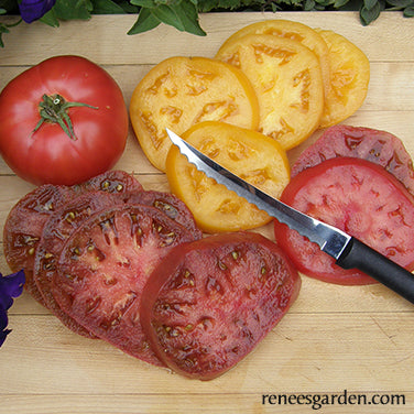 The Perfect Tomato Slicing Knife