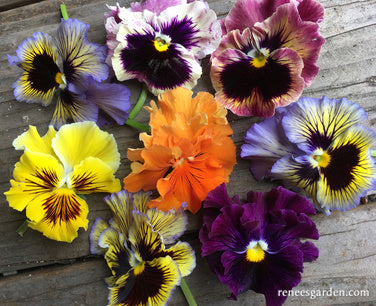 Victorian Posy