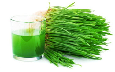 Wheatgrass For Juicing