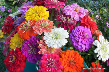 Blue Ribbon Bouquet