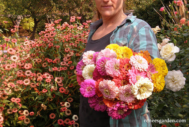 Heirloom Rainbow Flowers Colorful, Carefree Zinnias